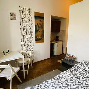 Historic Apartment